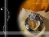 Travis & Melissa - Wedding Photo Book