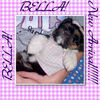 Bella! - Photo Book