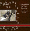 Tribute to Mr. Big - Pets Photo Book