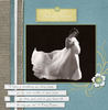 Pregnant With Jacob (Copy) - Baby Photo Book