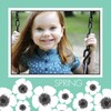 Mod Spring