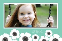 Mod Spring