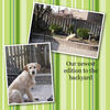 Our newest edition to the backyard - Photo Book