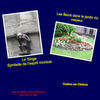 Visite de Mons - Photo Book
