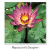 Rappaccini's Daughter - Romance Photo Book
