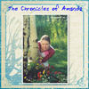 The Chronicles of Amanda - Photo Book
