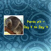 Perth 07 - Day 4 to Day 7 - Travel Photo Book