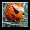 Halloween at Mercy General Hospital - Holiday Photo Book