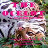 The Ocelot - Nature Photo Book