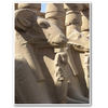Into the Nile - Travel Photo Book