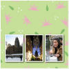 nyc with ego 2007 - Photo Book
