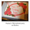 hayley smiths 18th - Holiday Photo Book