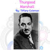 Blank Canvas Theme - Photo Book