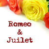 Romeo & Juliet Study Notes - Education Photo Book
