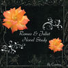 Romeo & Juliet Novel Study  - Photo Book