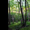 Our Year in Japan - Travel Photo Book