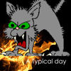 A Typical day of Irina - Stories Photo Book