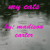 my cats - Pets Photo Book