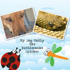 My Dog Molly the Rattlesnake Catcher - Pets Photo Book