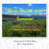 Blue Skies and Summer - Nature Photo Book