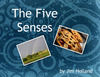 The Five Senses - Photo Book