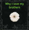 why i love my brother - Family Photo Book