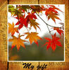My gift  - Stories Photo Book