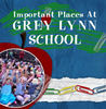 All About Grey Lynn School - Photo Book