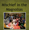 Mischief in the Magnolias - Education Photo Book