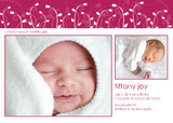 Photo Birth Announcements - Tulip Gardens