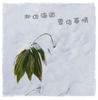北の海道    雪の事情 - Travel Photo Book