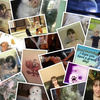 The Adventures of Lesley Murdoch - Friends Photo Book