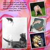 Moments - Photo Book