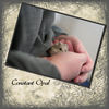 Constant Opal - Nature Photo Book