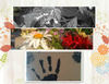 Contemporary Seasons  - Interests Photo Book