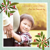 Christmas Cards - Berry Branches